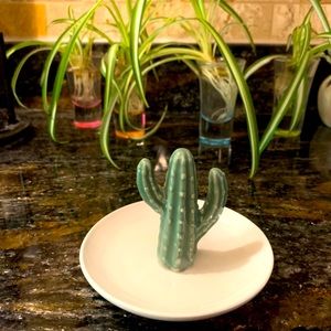 🌵 Cactus Ring and Trinket Tray 💍👑